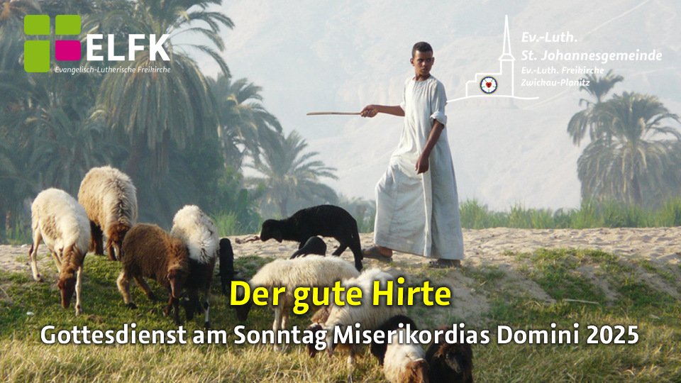 Ein Hirte hütet seine kleine Schafherde.