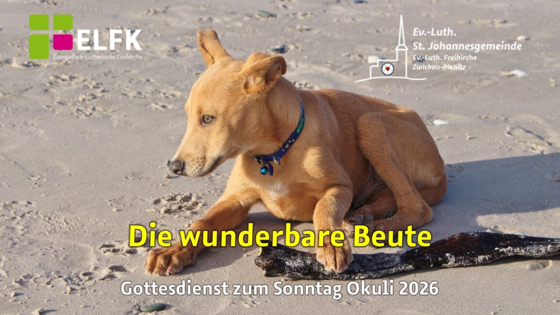 Ein Hund bewacht sein Stöckchen...