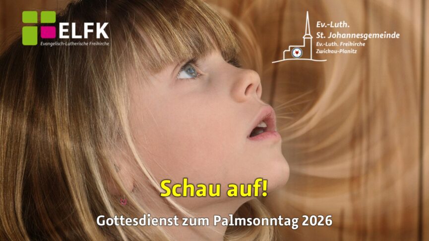 Ein Mädchen schaut staunend nach oben.