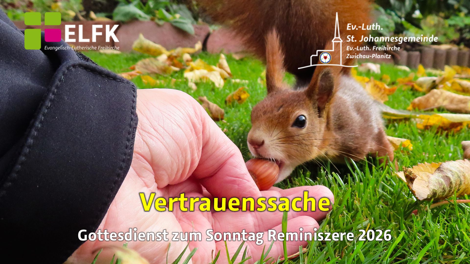 Ein Eichhörnchen lässt sich füttern.