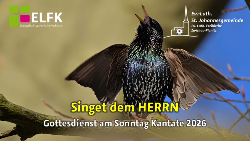 Eine singende Drossel
